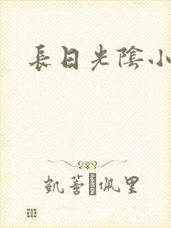 长日光阴小说