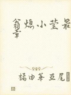 翁熄小莹最新节章