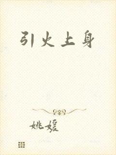 引火上身封面