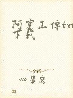 阿宾正传txt下载封面