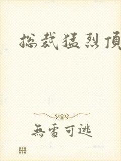 总裁猛烈顶弄h