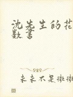 沈先生的花式调数书