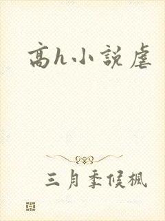 高h小说虐