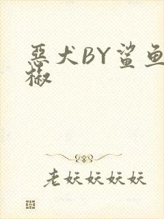 恶犬BY鲨鱼辣椒
