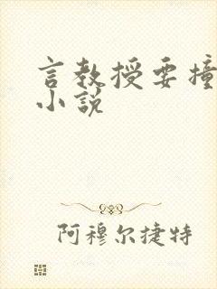 言教授要撞坏了小说封面
