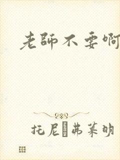 老师不要啊h封面