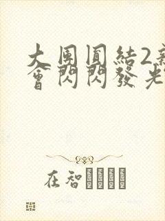 大团圆结2亲情会闪闪发光目录