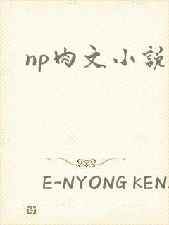np肉文小说