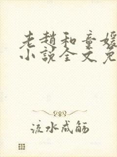 老赵和童媛媛的小说全文免费阅读