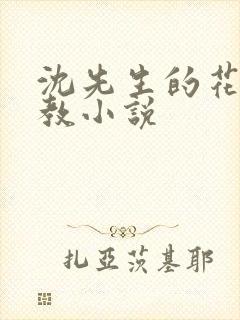 沈先生的花式调教小说