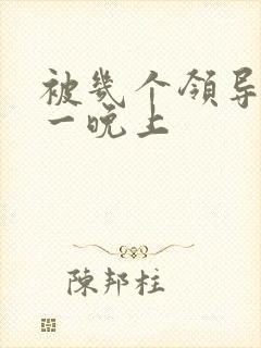 被几个领导玩弄一晚上封面