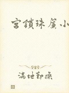 宫锁珠帘小说