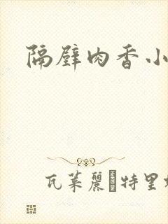 隔壁肉香小说