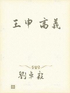 王申 高义