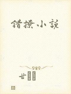 错撩小说