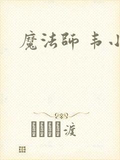 魔法师 韦小宝封面