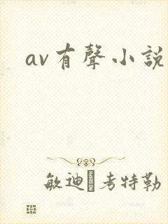av有声小说