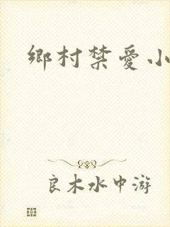 乡村禁爱小说封面