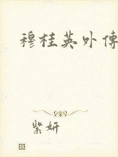 穆桂英外传