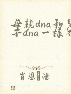 母亲dna和儿子dna一样不封面