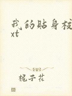 我的贴身校花txt