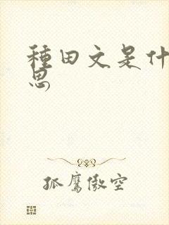 种田文是什么意思