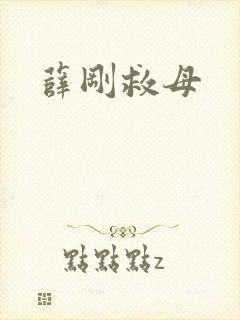 薛刚救母封面