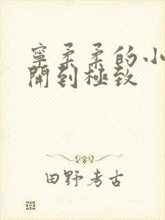 宁柔柔的小泬撑开到极致封面