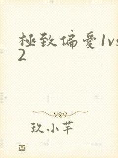 极致偏爱1vs2封面