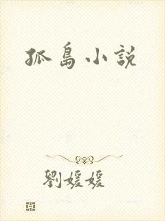 孤岛小说