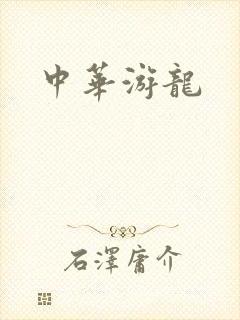 中华游龙封面