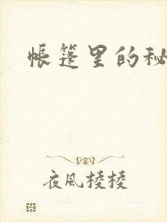 帐篷里的秘密