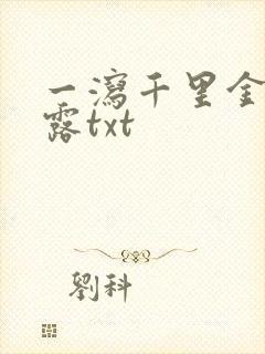 一泻千里金银花露txt