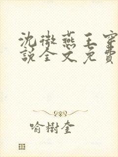 沈微燕王穿越小说全文免费阅读
