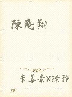 陈飞翔