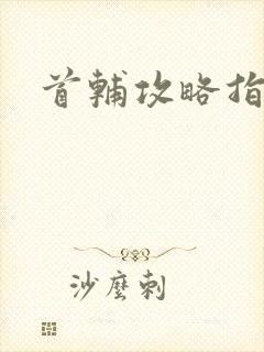 首辅攻略指南封面
