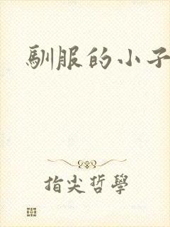 驯服的小子4