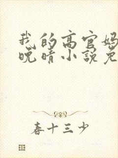我的高官妈妈苏晚晴小说免费阅读封面
