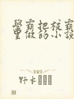 学霸把校霸往死里做的小说