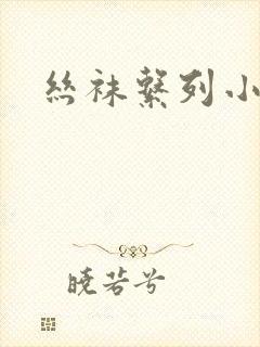 丝袜系列小说