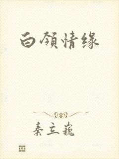 白领情缘
