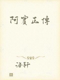 阿宾正传
