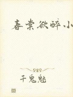 春棠欲醉小说封面