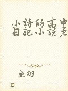 小诗的高中成长日记小说免费阅读