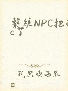 系统NPC把我c了