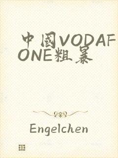 中国VODAFONE粗暴封面