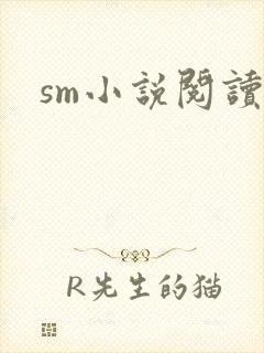sm小说阅读