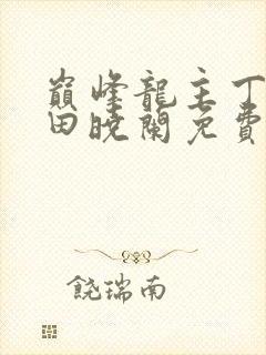 巅峰龙主丁长顺田晓兰免费阅读封面
