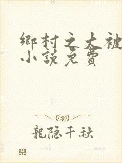 乡村之大被同眠小说免费