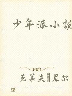 少年派小说